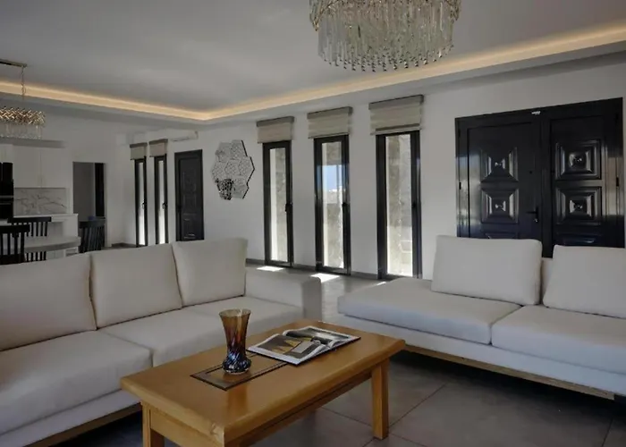 Mykonos Kosmoplaz 酒店 普拉迪斯亚罗斯