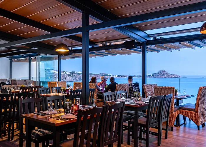 Hotel Mykonos Kosmoplaz 4*